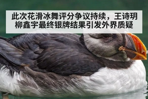 此次花滑冰舞评分争议持续,王诗玥柳鑫宇最终银牌结果引发外界质疑