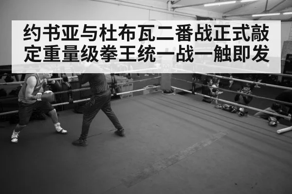 boxer training gym