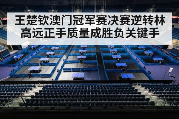 table tennis final